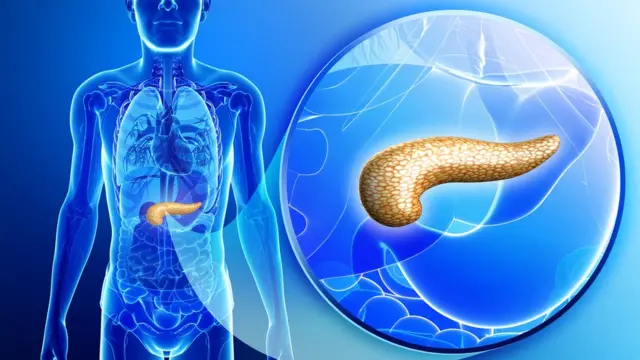 Ilustración del páncreas y su ubicación en el cuerpo humano