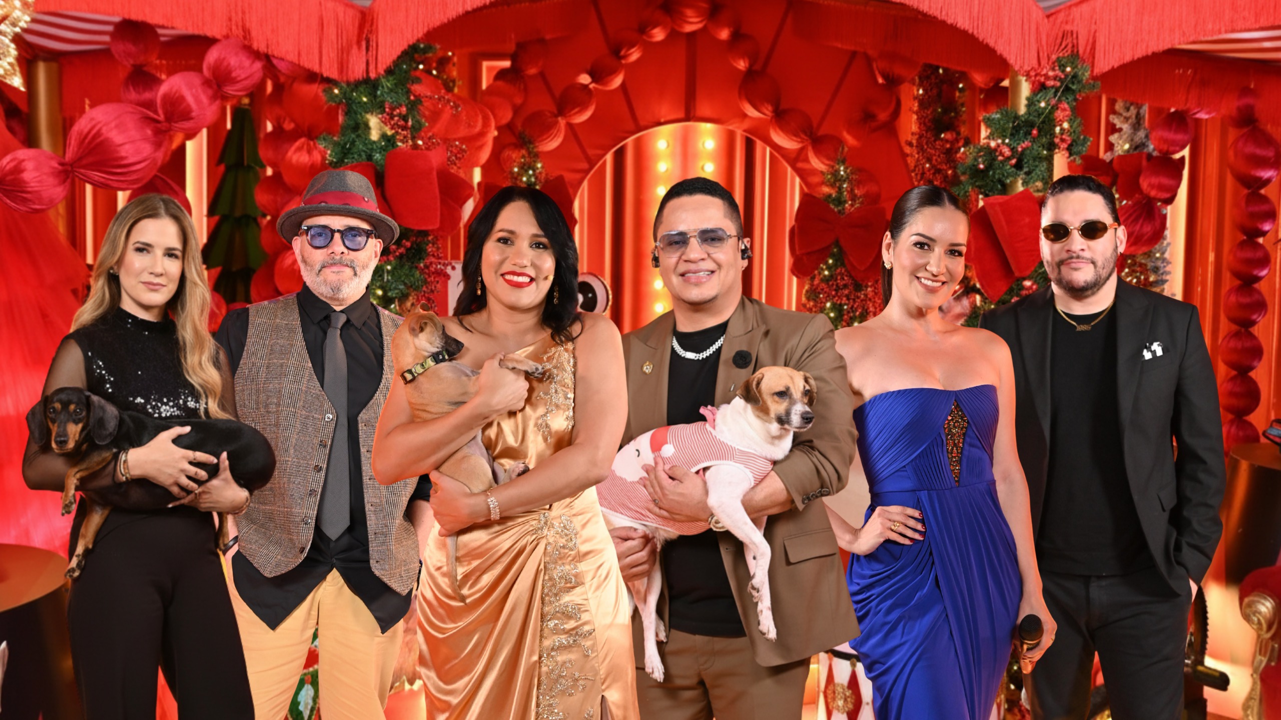 Canal 8 de Telemedios y Fundación LASO presentan “Un Hogar para Navidad”