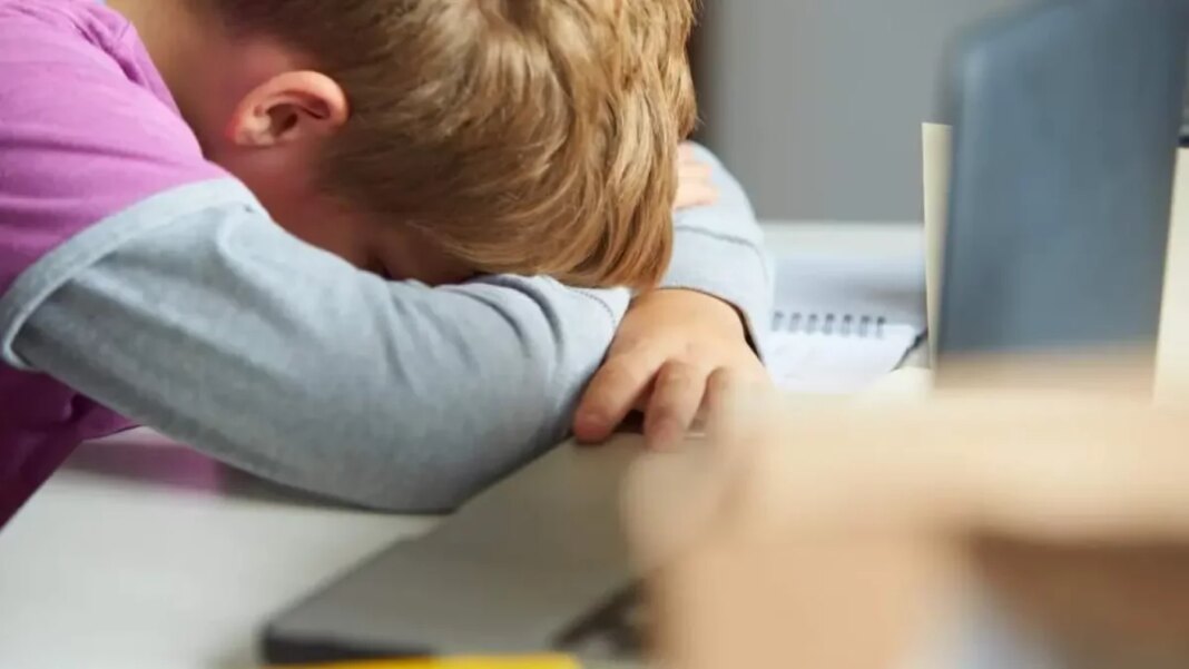 El acoso escolar repunta en los países desarrollados tras el parón de ...
