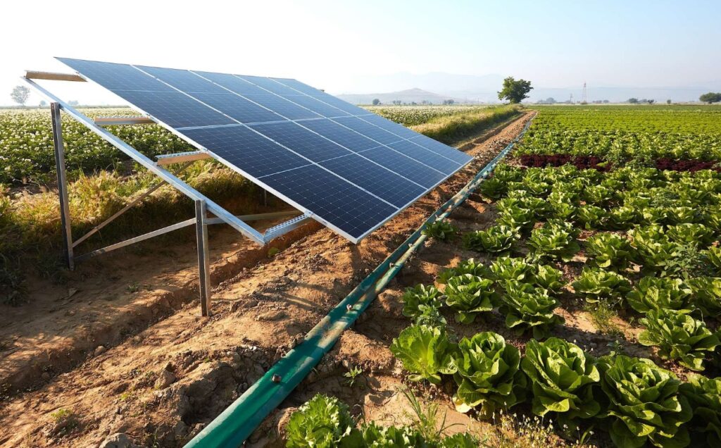Pequeños productores reducen costos con energías renovables