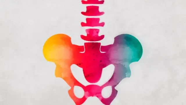 Ilustración colorida de la pelvis