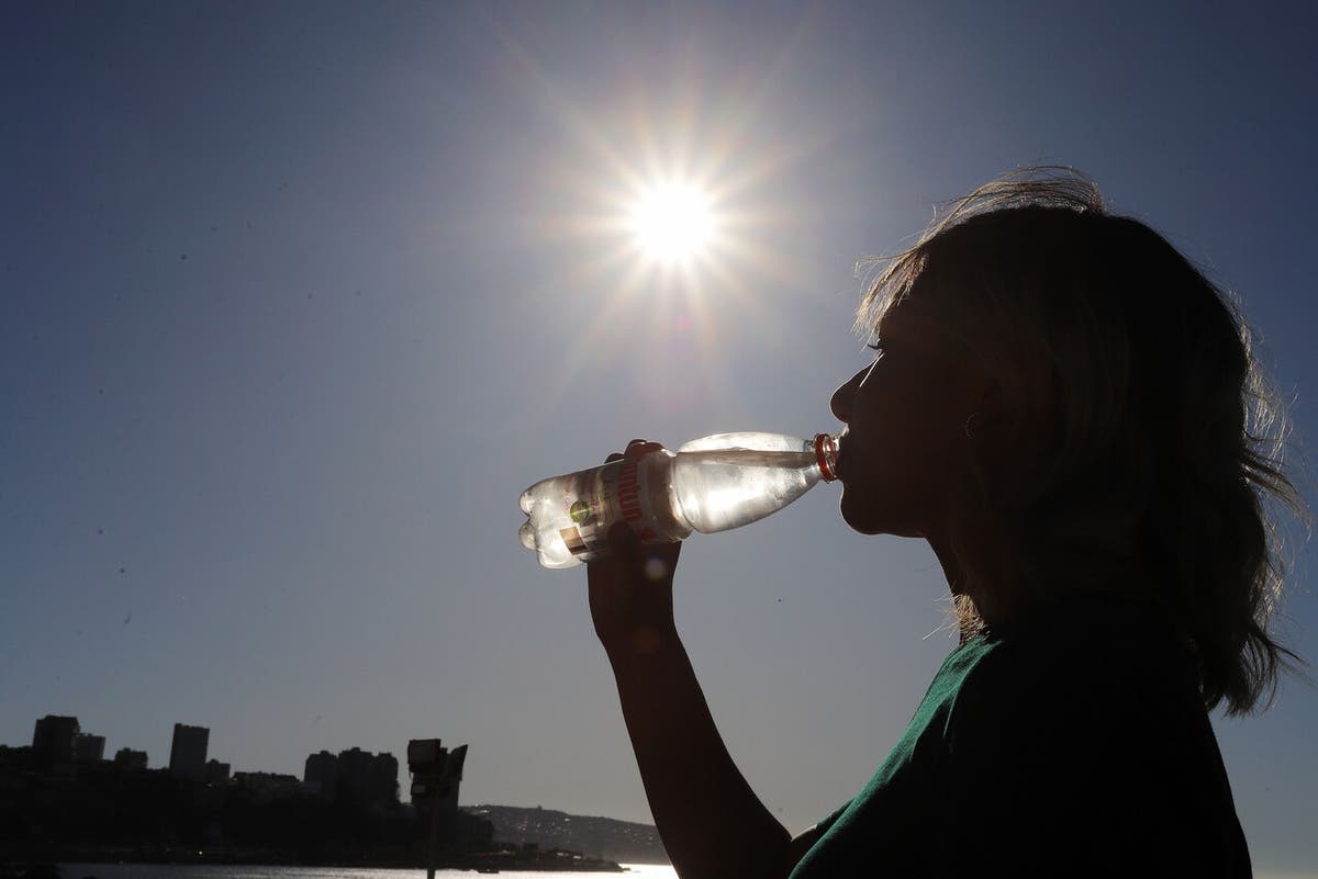 Ola de calor