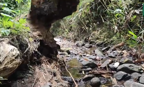 “Mami, ¿me amas?”: Las últimas palabras del menor encontrado muerto en un barranco de San Cristóbal