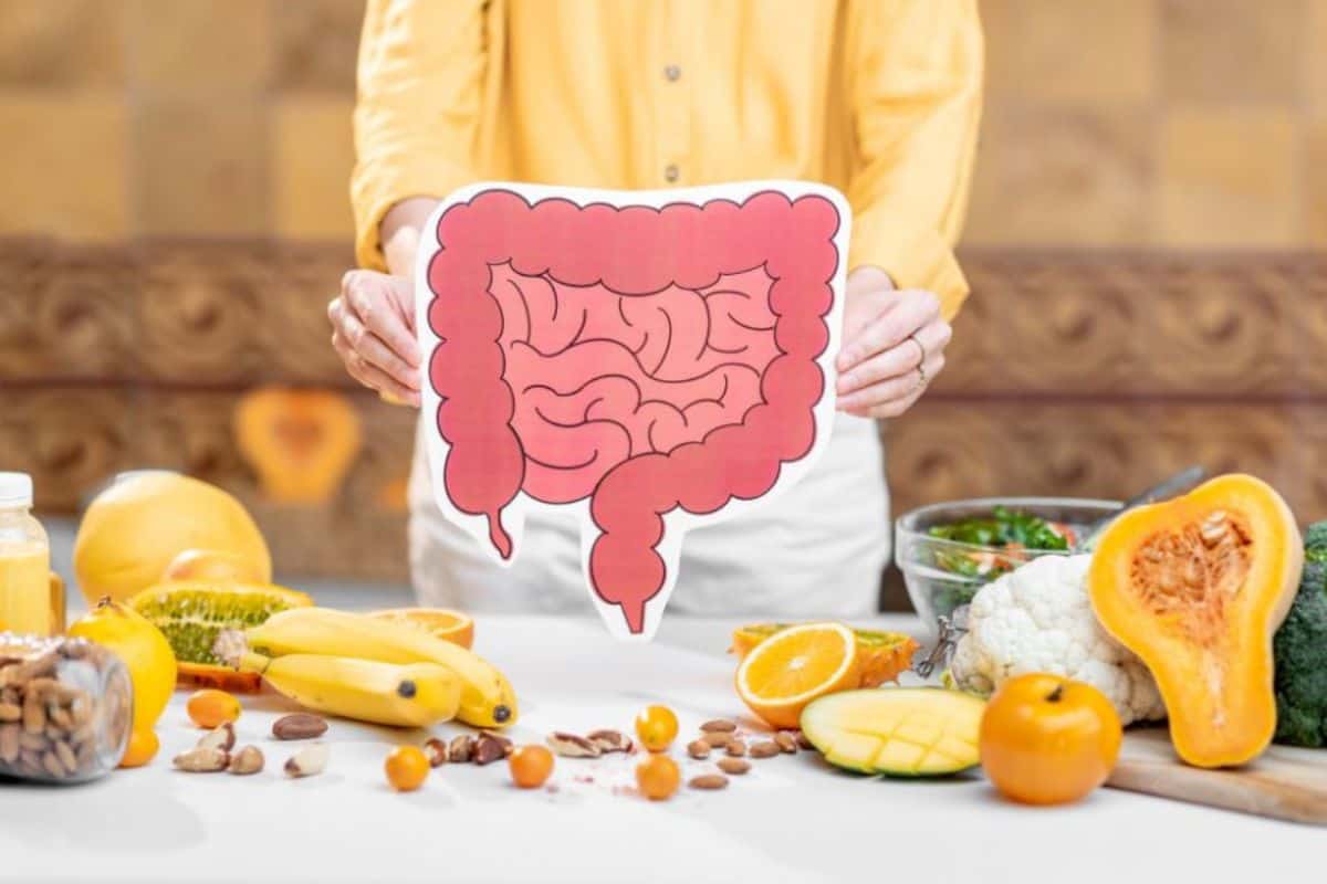 Microbiota intestinal