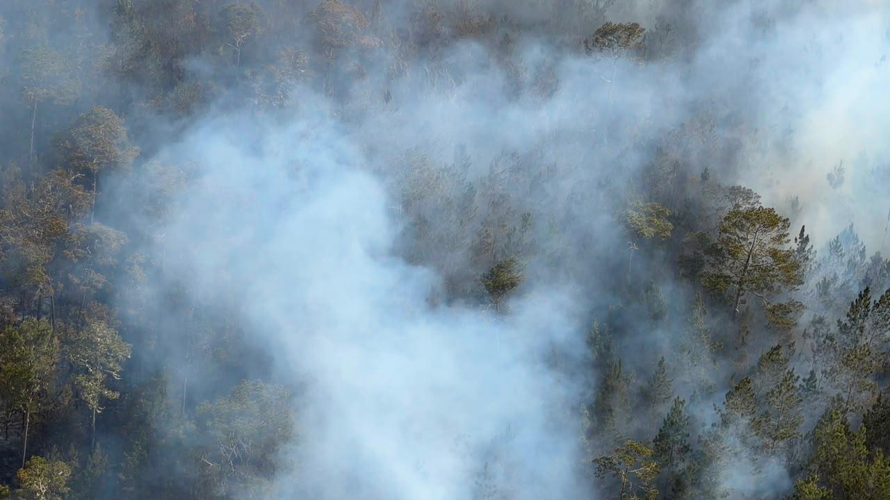 Desde el sábado, los bomberos forestales atacan el incendio.