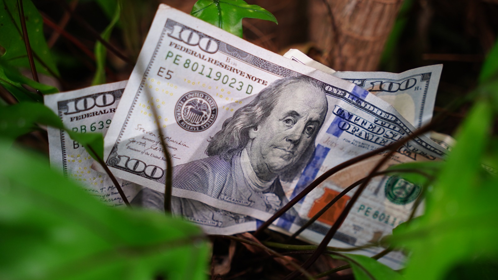 dolares