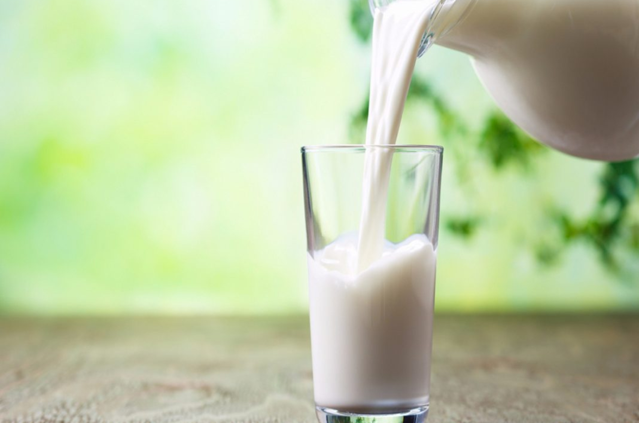 La leche es uno de los alimentos con mayor contenido nutricional, recomendado tanto para niños como para adultos.