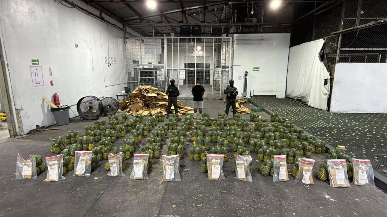 Piñas incautadas en el AILA durante un operativo por presunta cocaína en cargamento enviado a Afganistán