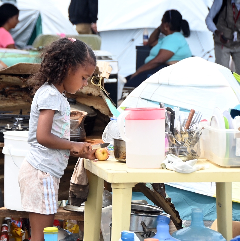 El trauma los hizo regresar a su país; República Dominicana trae ayuda humanitaria
