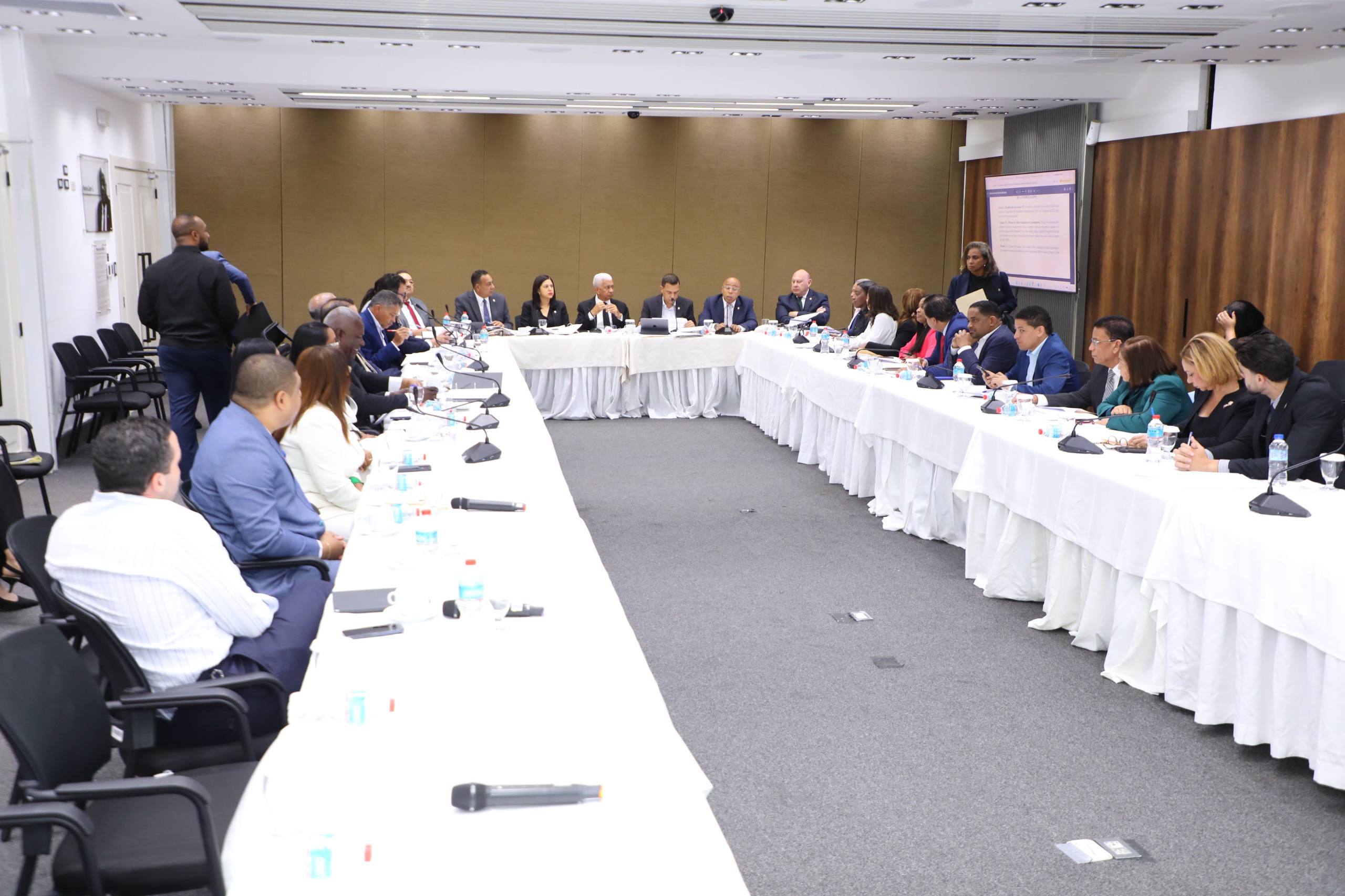 Comisión Bicameral estudia nuevo Código Penal