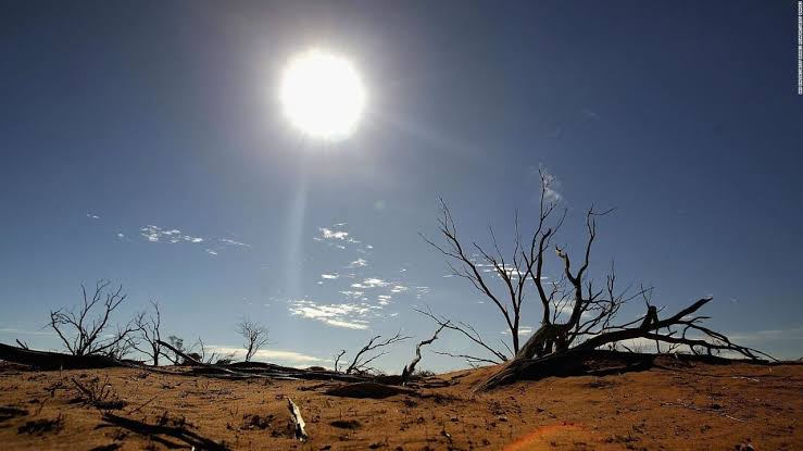 ¿Qué es el fenómeno meteorológico de El Niño?