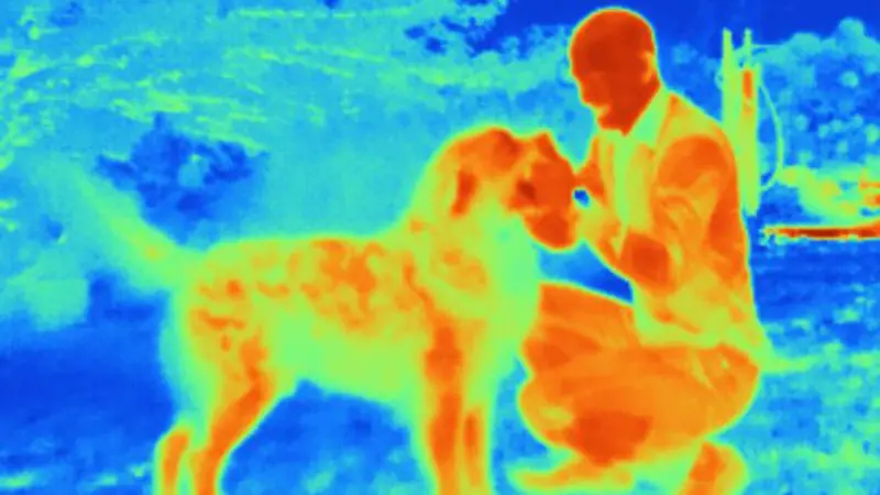 Temperatura corporal