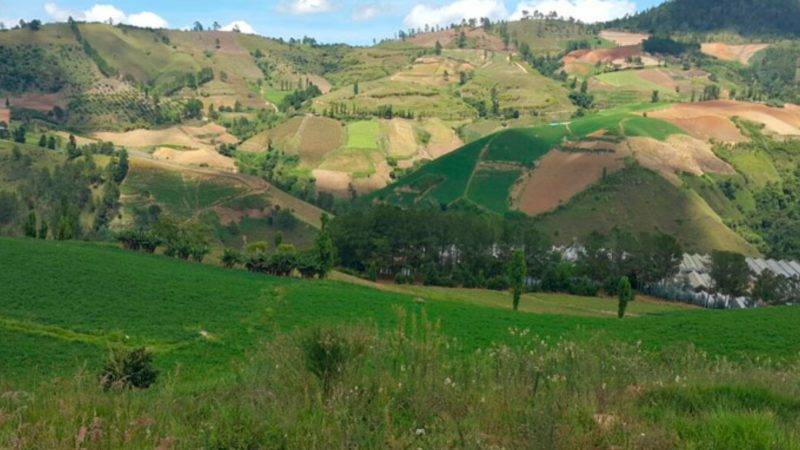 Aprueban protocolo que permite acampar en el Parque Nacional Valle Nuevo
