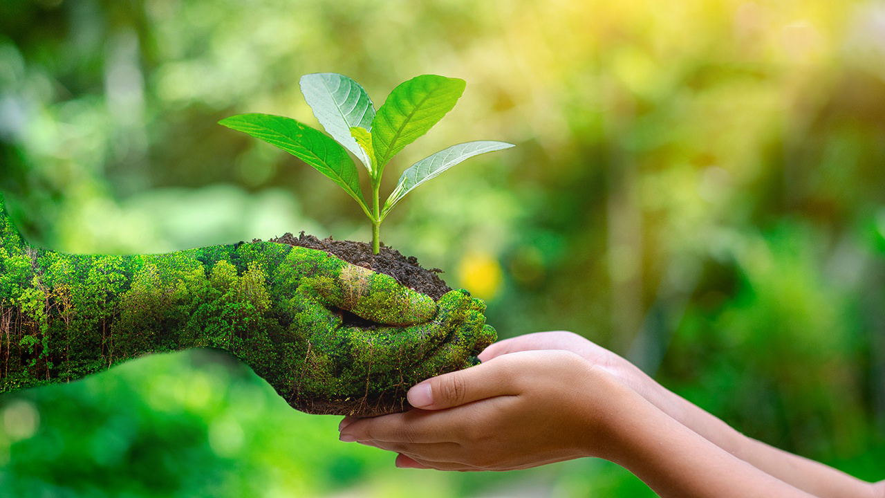 Día Mundial del Medio Ambiente: Importancia de proteger los derechos en emergencias climáticas