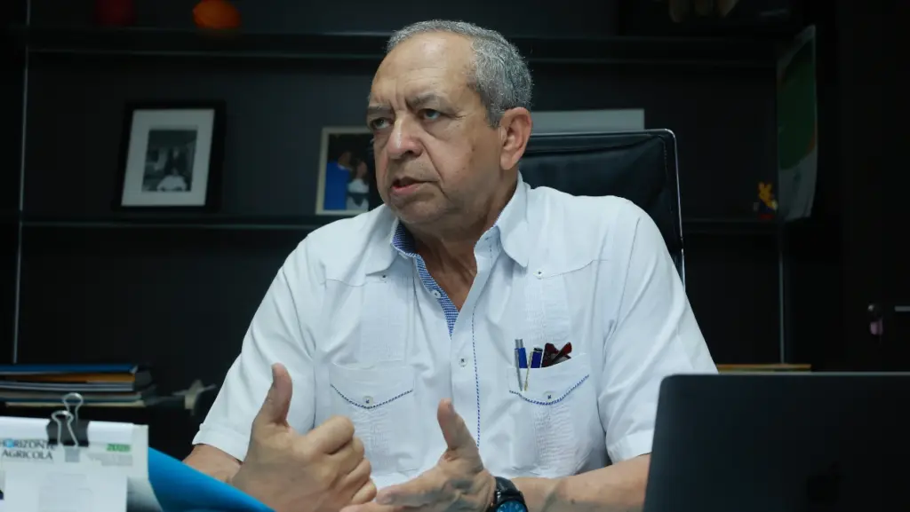 Renovación de plantaciones de cacao será clave para aumentar la producción