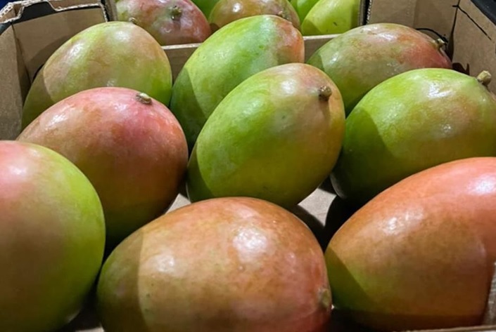 mango