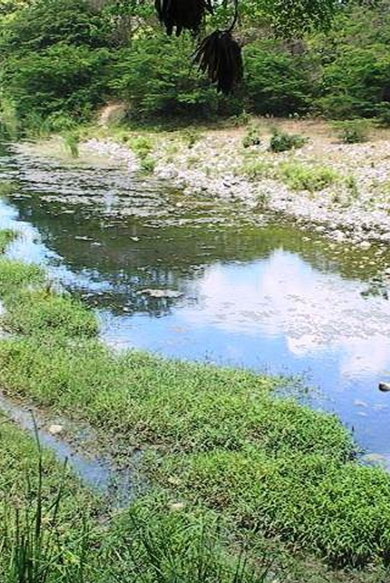 Los humanos destruyen el río.