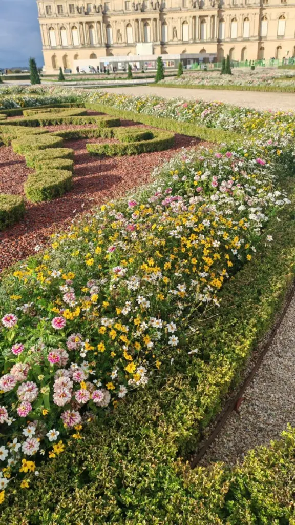 ¿Por qué se regalan hoy flores amarillas y qué se celebra el 21 de septiembre?