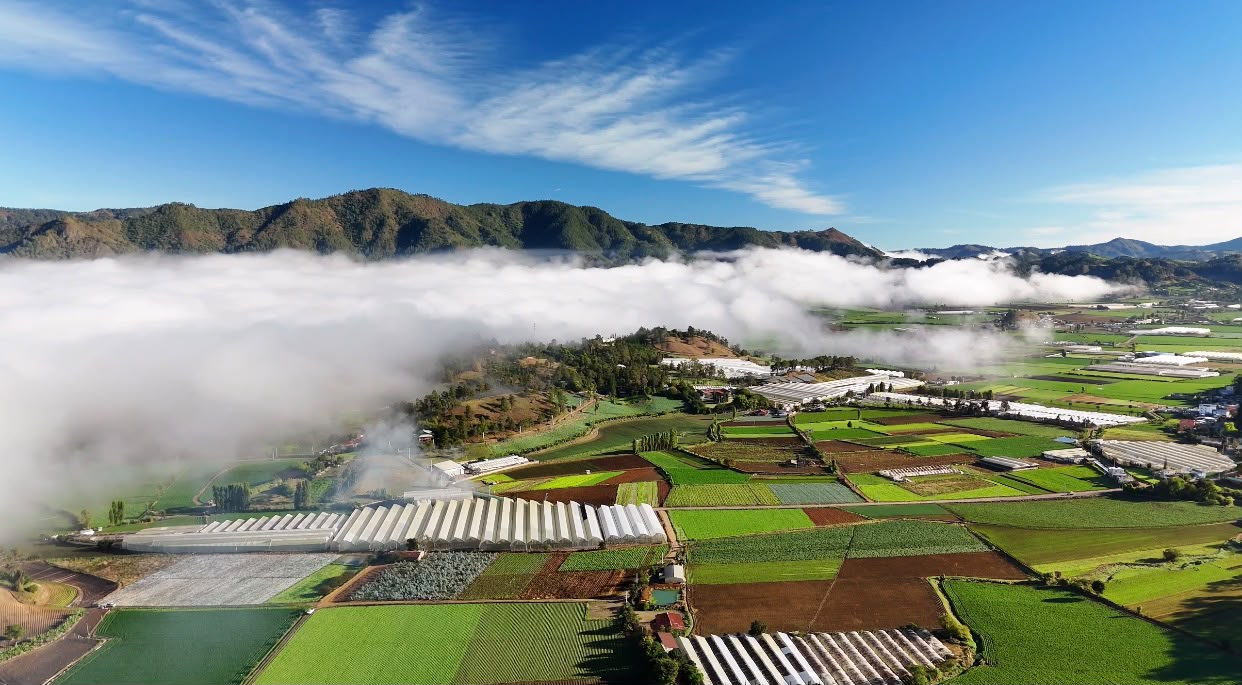 Valle agrícola con parcelas de cultivo, invernaderos y niebla baja frente a una cadena montañosa