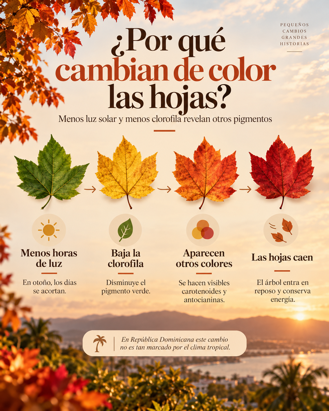 Infografía sobre por qué las hojas cambian de color en otoño, de verde a rojo debido a menos luz solar y menos clorofila