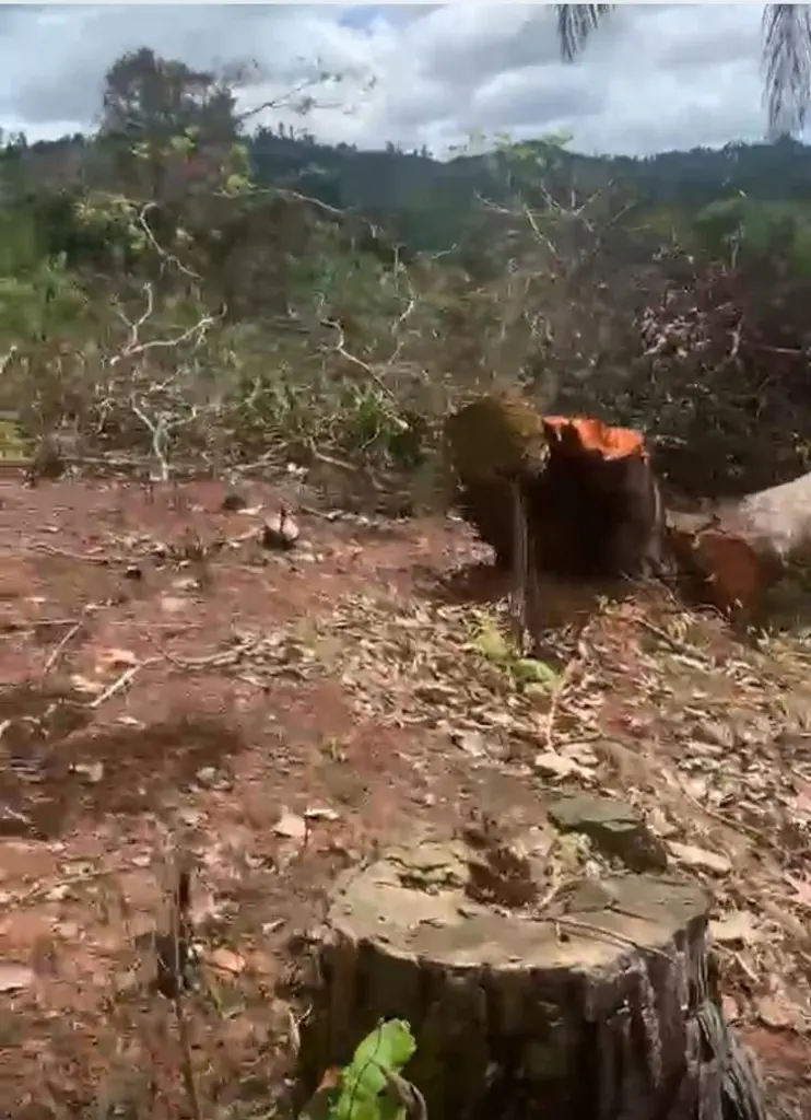 Monte Plata enfrenta conflictos de tierras, invasiones y prolongados procesos judiciales