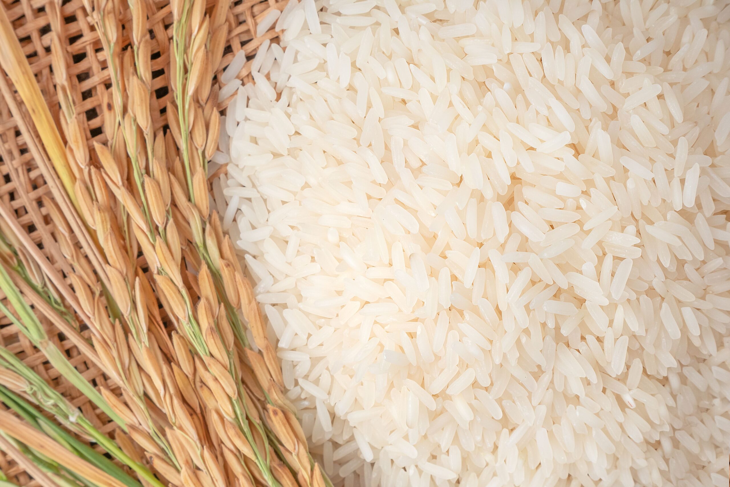 arroz-1-escala