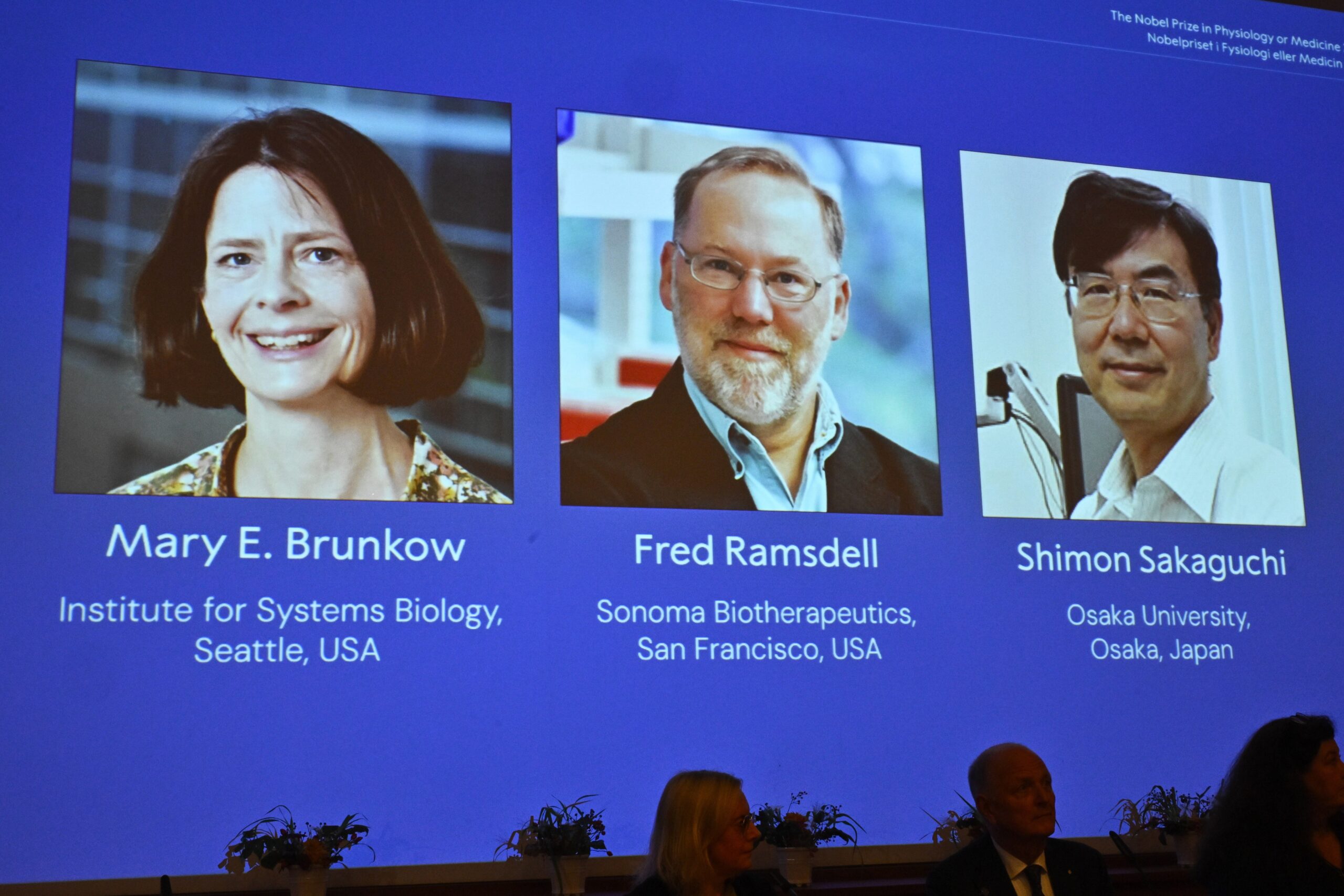 Una pantalla muestra fotografías de Mary E Brunkow, Fred Ramsdell y Shimon Sakaguchi, quienes recibieron el Premio Nobel de Medicina, en la Asamblea Nobel en el Instituto Karolinska en Estocolmo, Suecia, el lunes 6 de octubre de 2025. (Claudio Bresciani/TT News Agency vía AP)