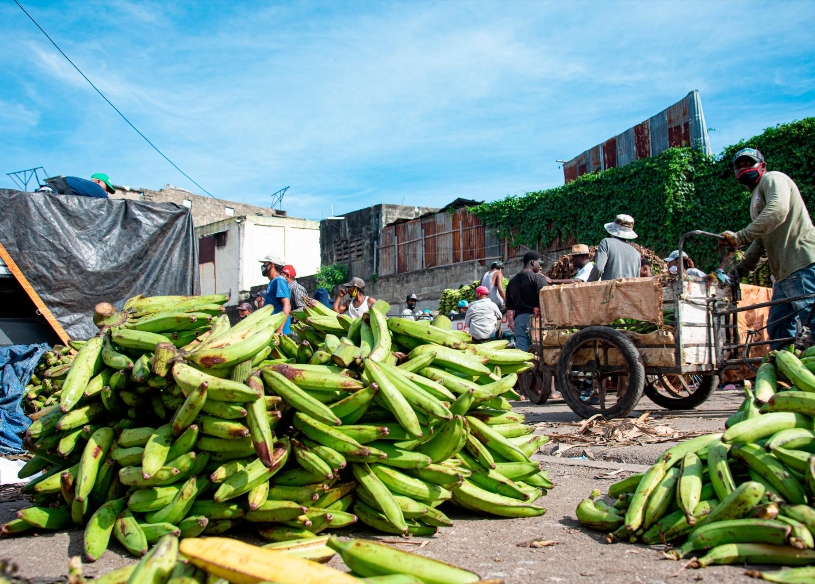 El aumento de los plátanos afectó a la inflación.