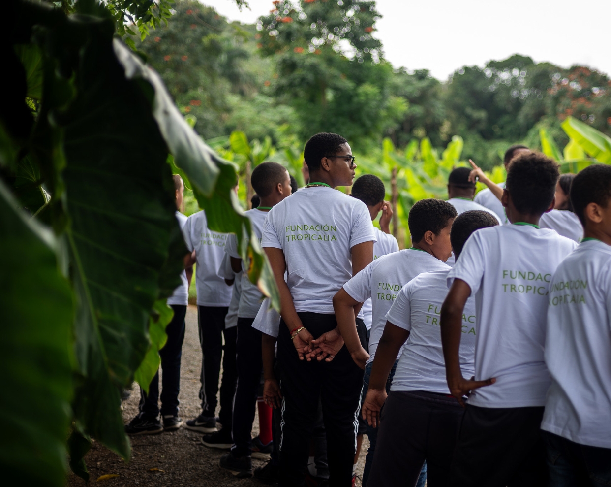 Con esperanza de futuro, la Fundación Tropicalia trabaja en el tejido social de Miches.