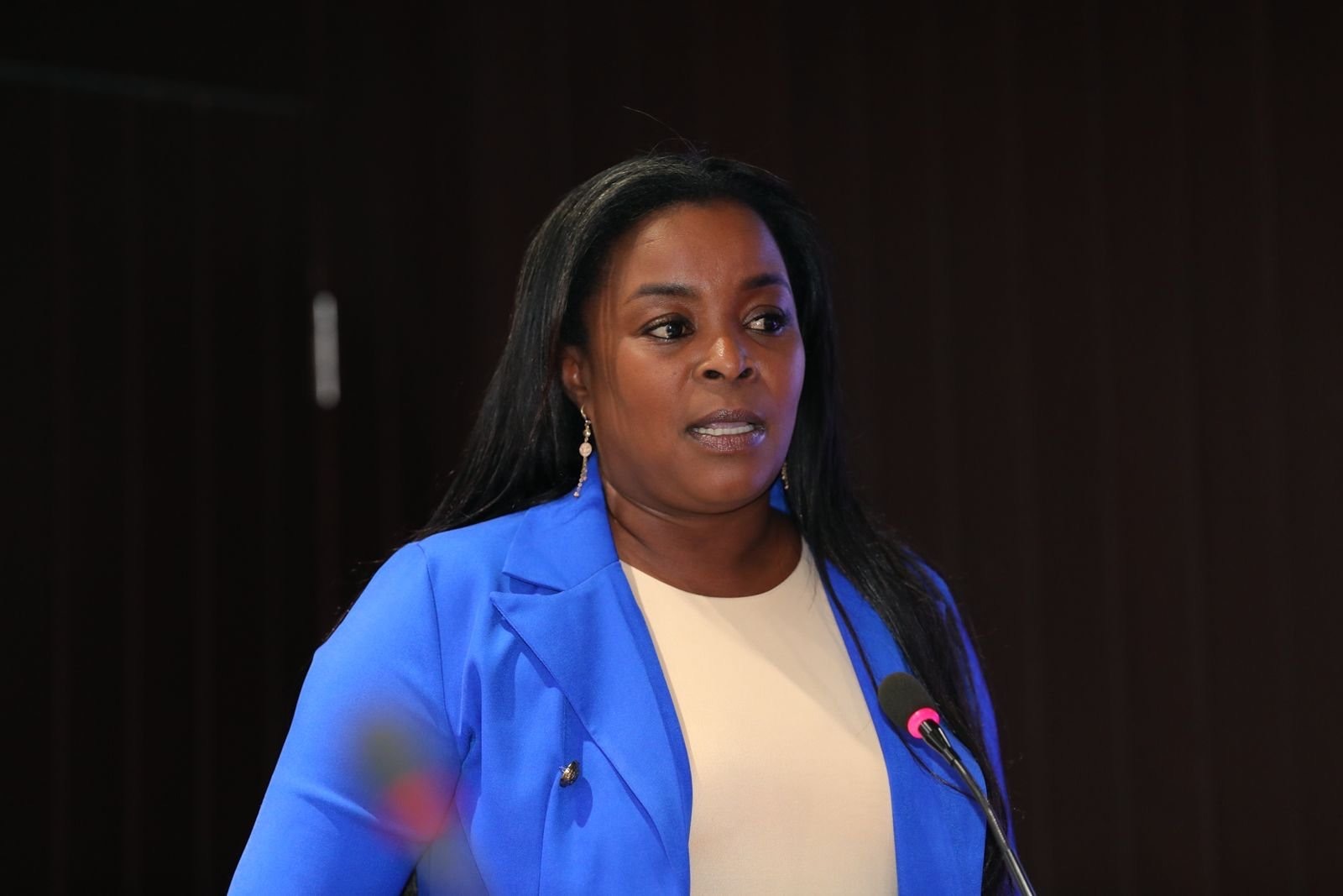 Diputada Millys Martínez