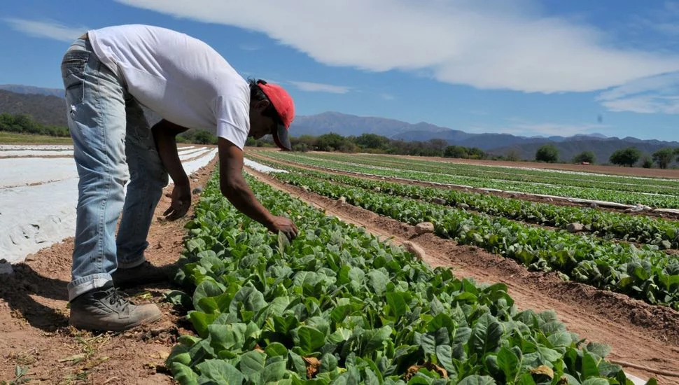 Productores advirtieron sobre estafas en el sector agrícola. Fuente externa