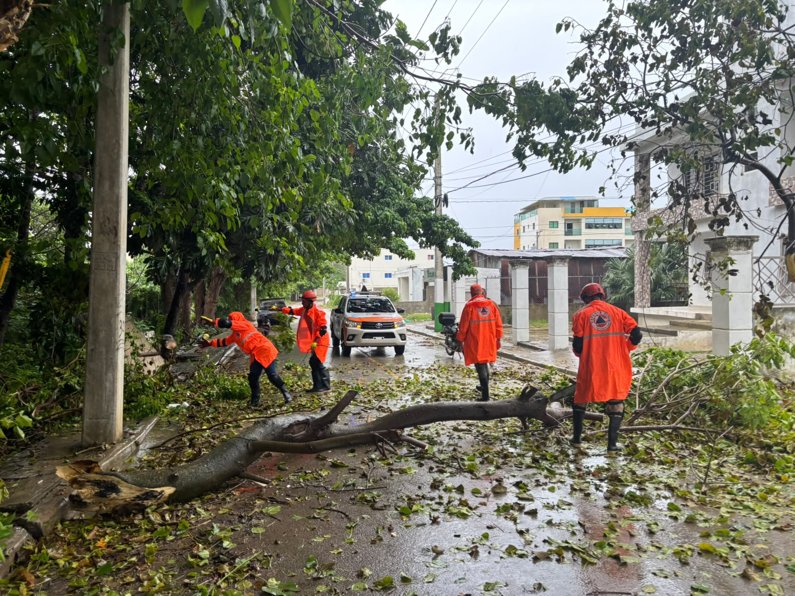 Brigadas de Defensa Civil retiran un árbol caído de una calle tras lluvia, en medio de alertas de inundaciones en RD