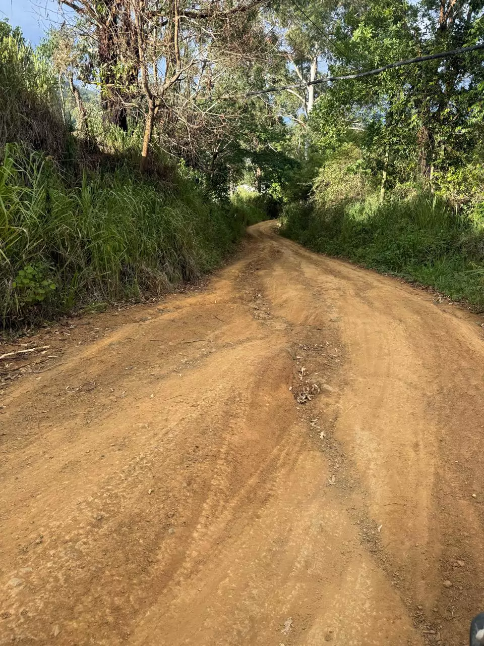 Tramo de camino de terracería en El Higüito, rodeado de vegetación, que sería intervenido por Egehid.