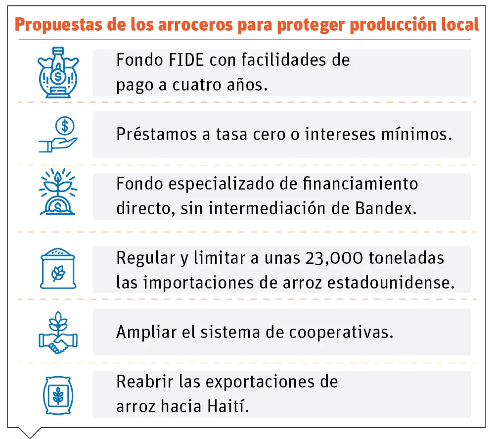 Los productores de arroz afirman que no podrán competir con EE.UU., sugieren varias medidas para compensar
